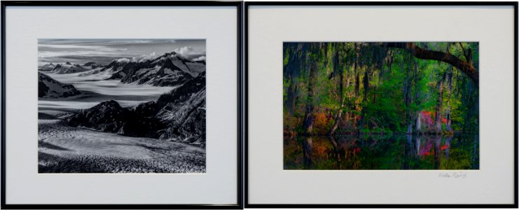 60 | Willa Siegel | Alaska Ice Field (A), Garden Paradise (B) | Photography | 12x30.25