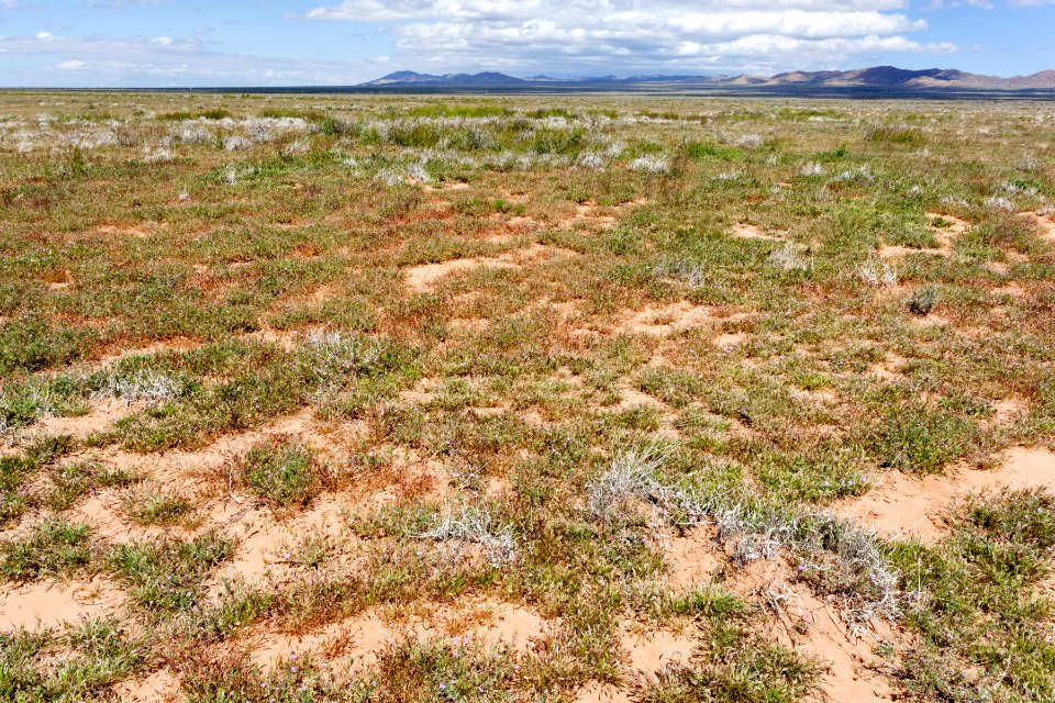 South-southeast of Apache Mountain