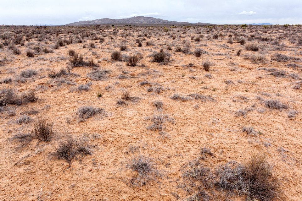 Jornada del Muerto Plain