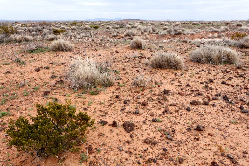 Southwest of Aden Crater