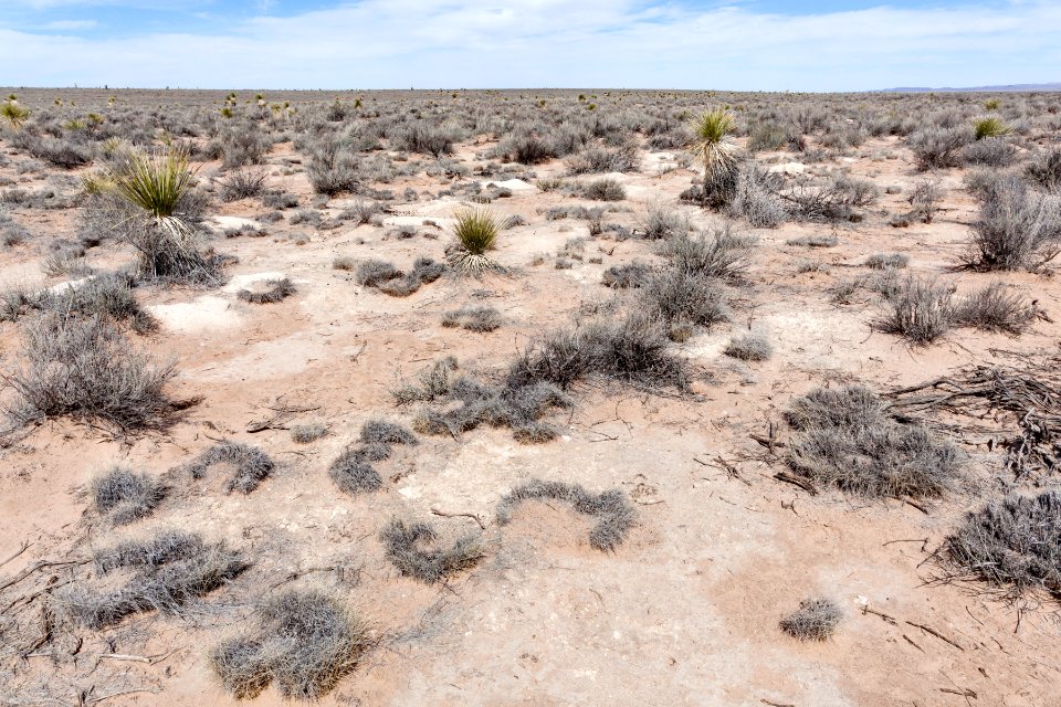 Jornada del Muerto Plain