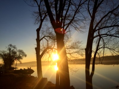 Mississippi River Sun and Trees photo