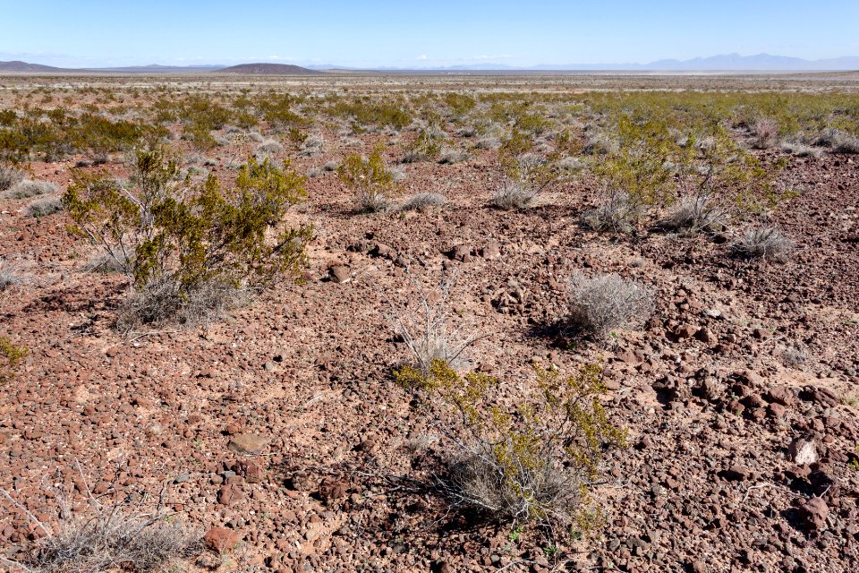 West of Aden Crater