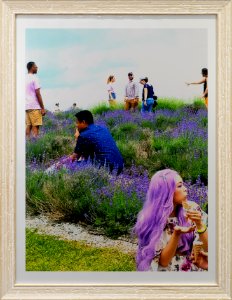 397 | Amy Woodhouse | The Scent of Lavender | Photography | 26.25x20.25