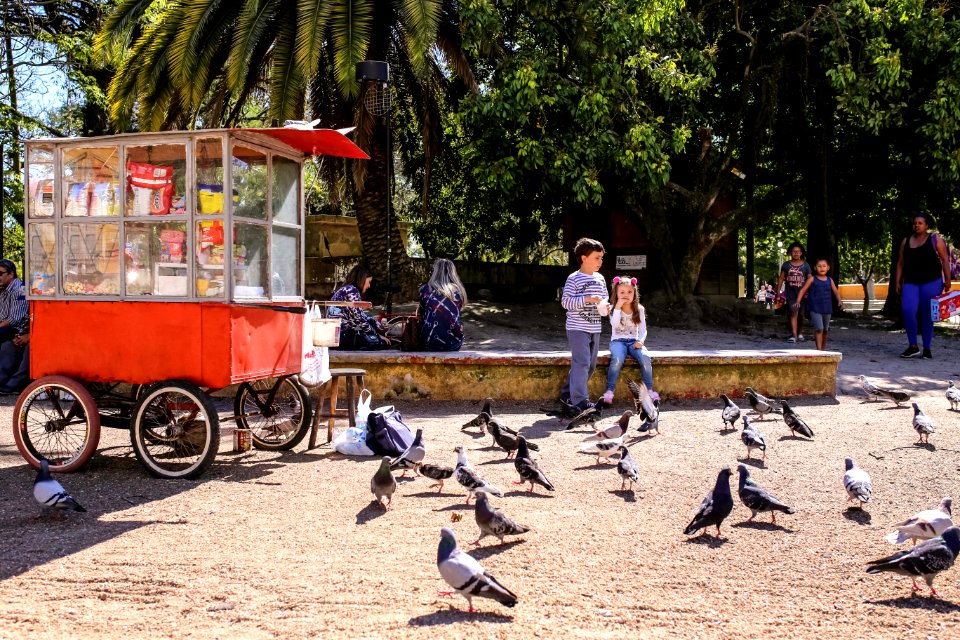 15.10.2018 Revitalização brinquedos das praças - Fotos Gustavo Mansur