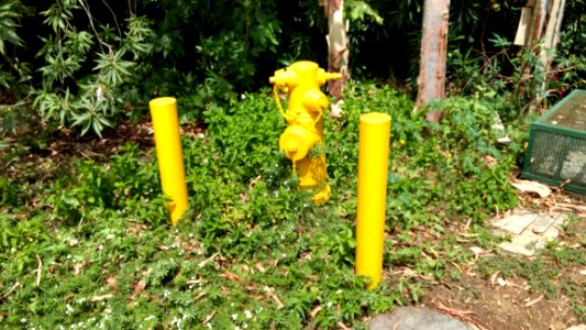 Fire Hydrant with Bollards 1
