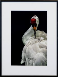 177 | Gloria Spellman | Getting Dolled Up | Photography | 12x16