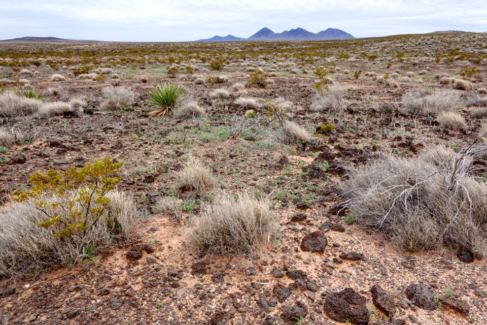 Southwest of Aden Crater