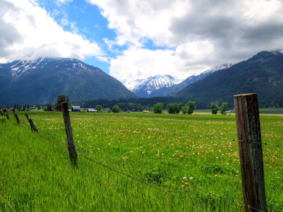 The Wallowas