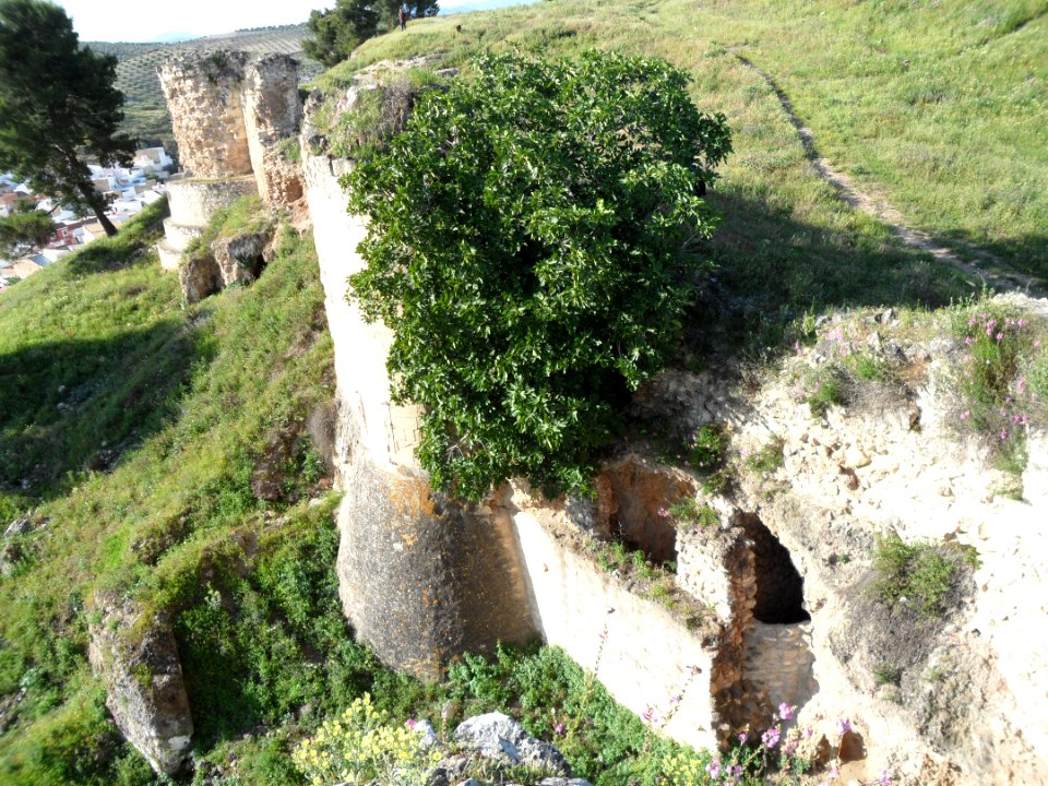 Castle Ruins from Moron de la Frontera