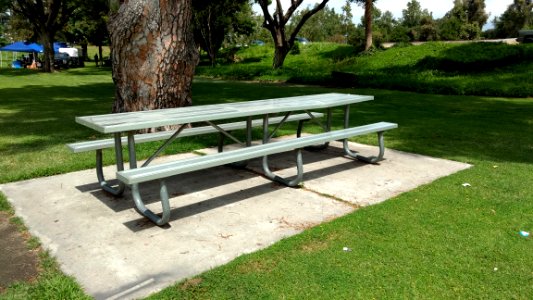 Public Picnic Table 1