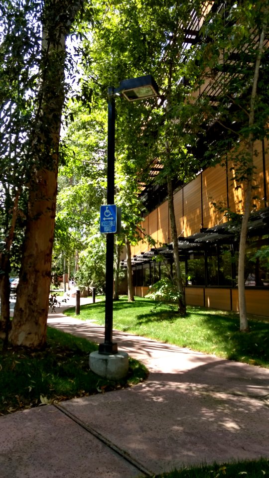 Light Pole with Handicap Parking sign 1