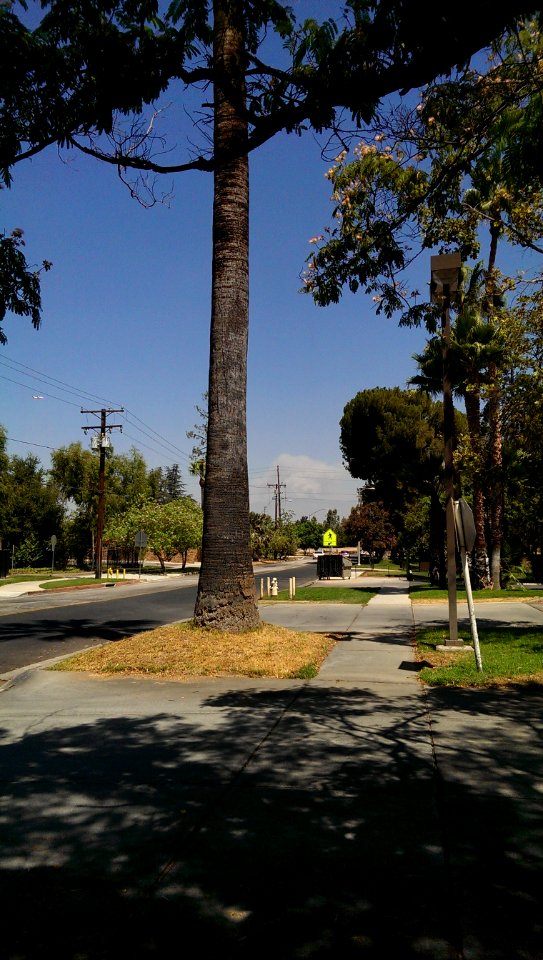 sidewalk