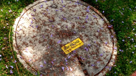 Electric Access Box 1