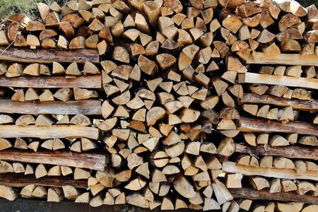 Forest firewood stock