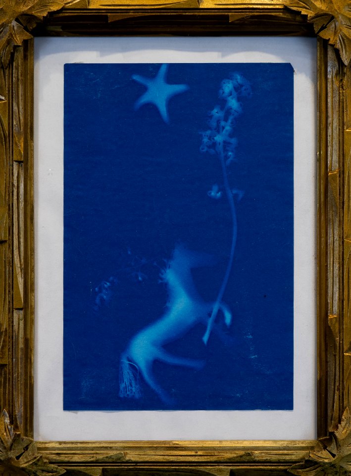 372 | Anthony Zaza | Pegasus | Printmaking | 18x14.5