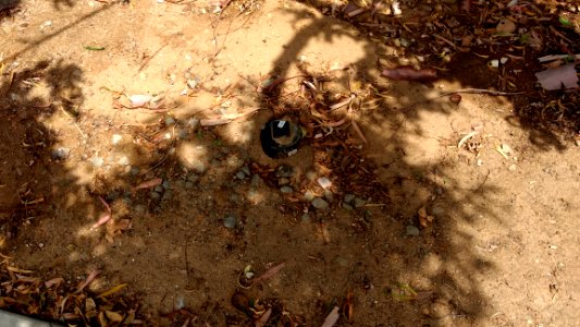 Residential Sanitary Sewer Clean Out 1
