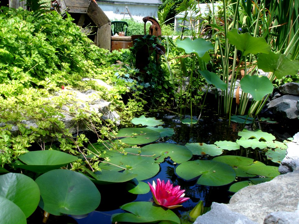 Garden water feature