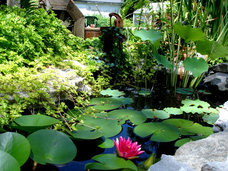 Garden water feature photo