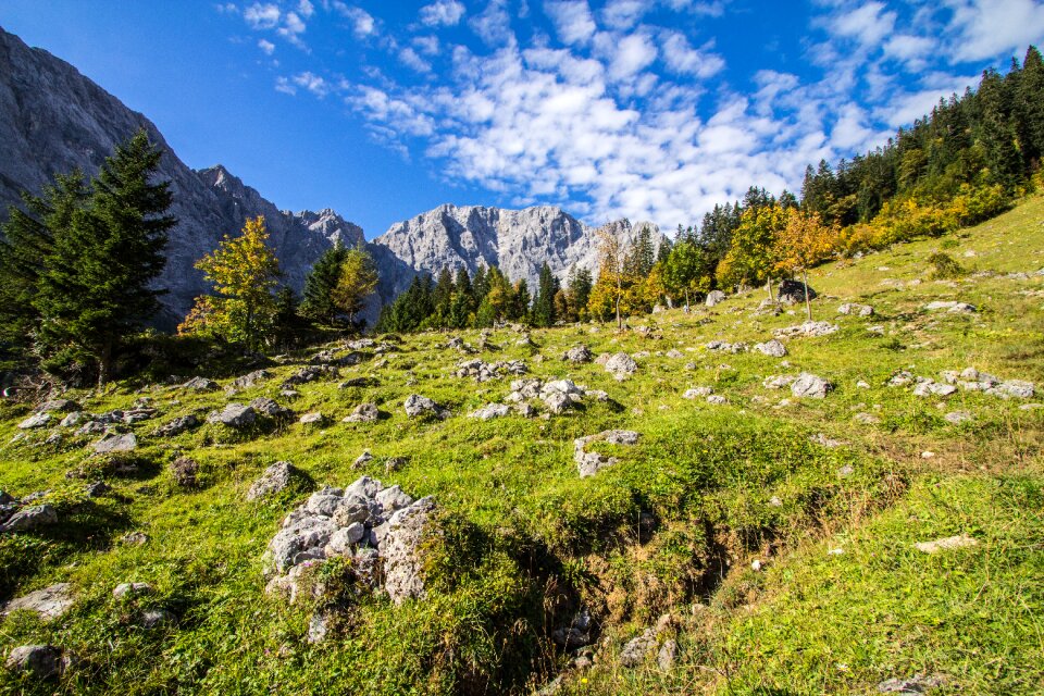 Mountains meadow steinig