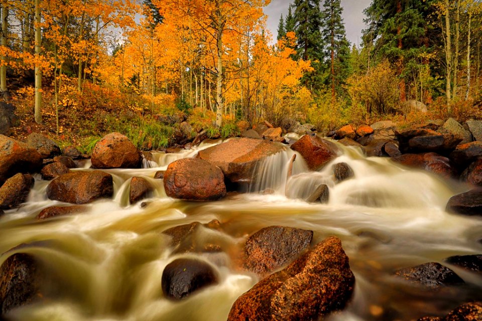 River in the Aspens