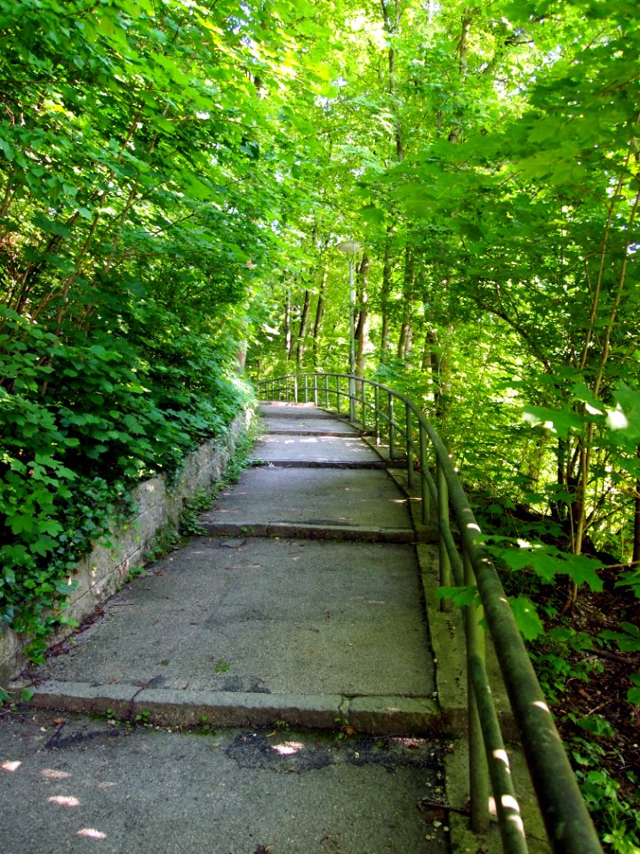Cool Trail in Munich