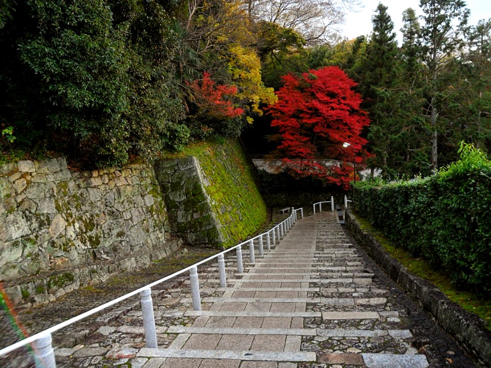 Chion-in Steps