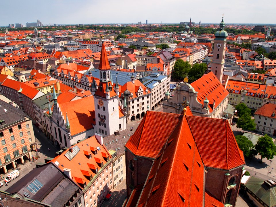 The Old Town Hall and St. Peter's Roof