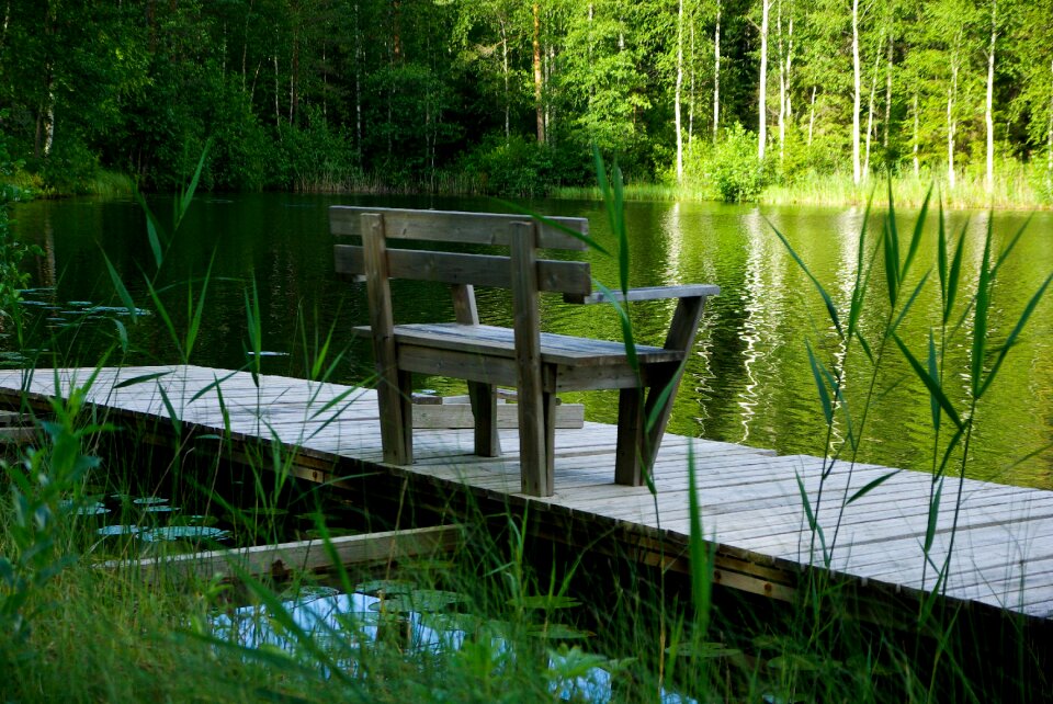 Bench solitude forest
