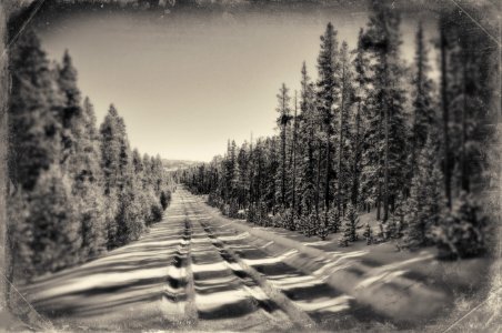 one track road photo