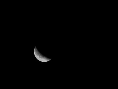 Eclipse Moon photo