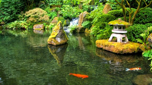 Portland Japanese Garden 4