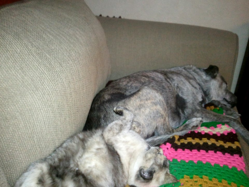 Urchin Boo & Toastie