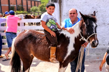 23.10.2018 Doação de Cavalos pela SSUI - Fotos Gustavo Mansur
