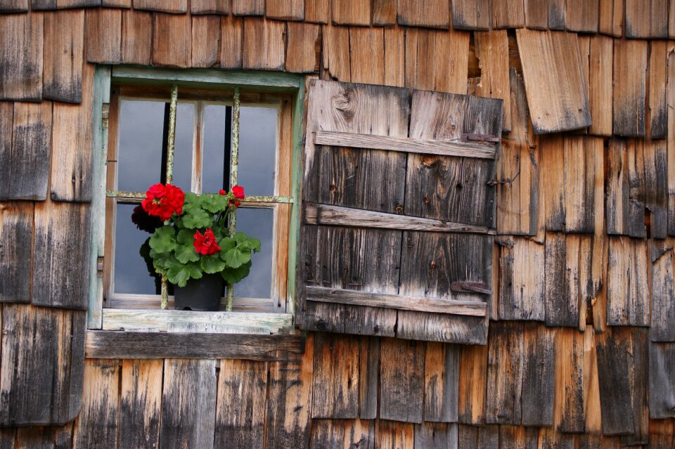 House facade wood shingles decorative
