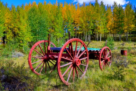 Aspens1-4