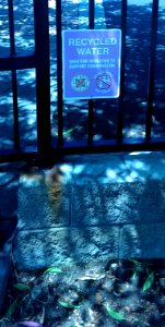 recycled water sign
