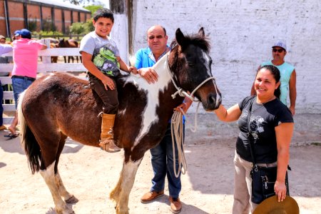 23.10.2018 Doação de Cavalos pela SSUI - Fotos Gustavo Mansur