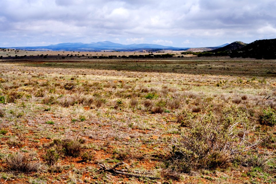 Gallinas Mountains