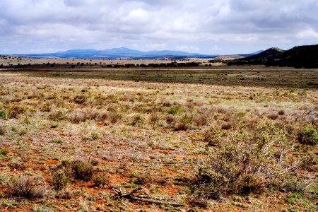 Gallinas Mountains