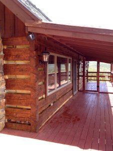 Fresh Stained Logs.jpg