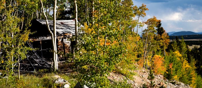 Cabin above Alma, Colorado photo