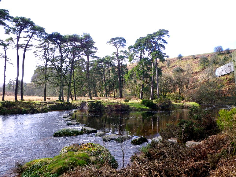 Sherberton Steeping Stones