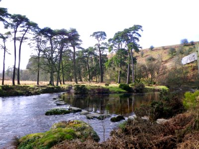 Sherberton Steeping Stones photo