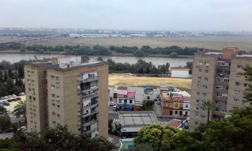 Aljarafe (Sevilla). photo