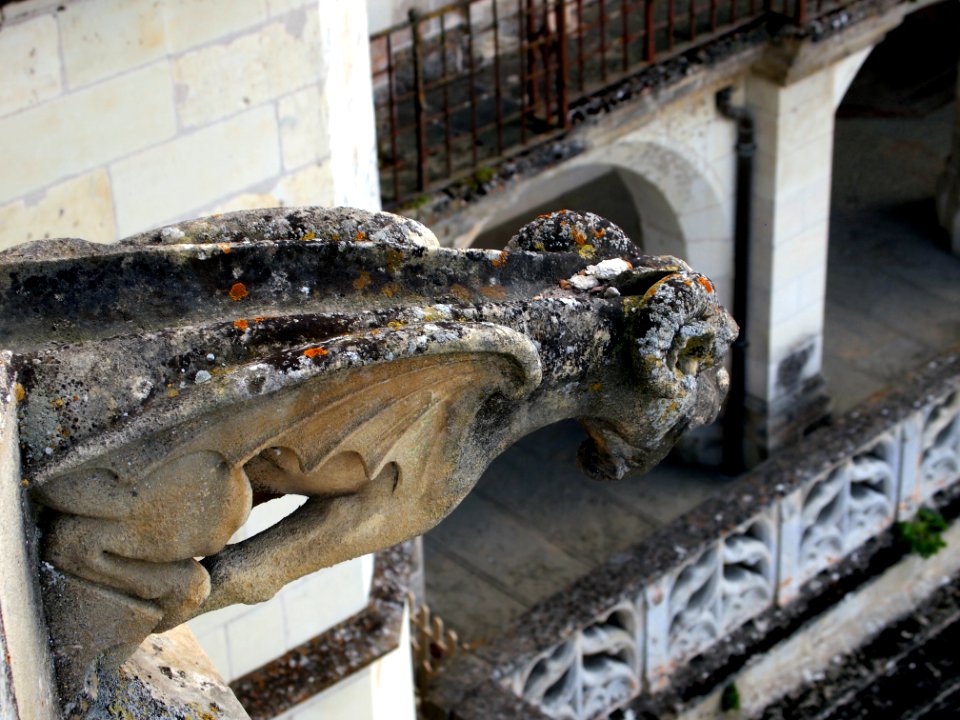 Gargoyle Detail