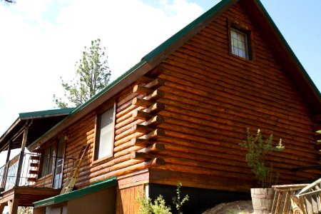 Stain Drying on Log Home photo