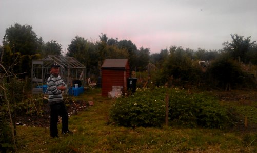 Community allotment lush growth