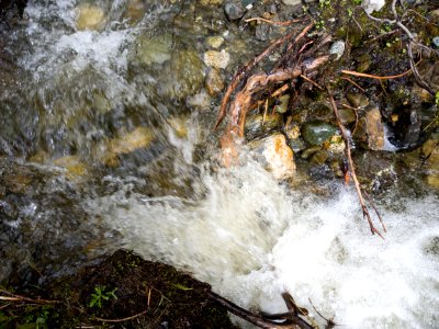 Tangle Lakes-5