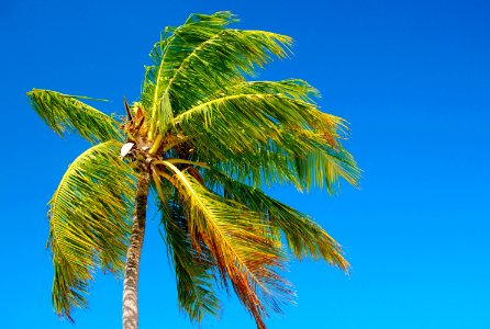 fotos da praia